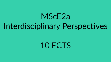 MScE2a Interdisciplinary Perspectives
